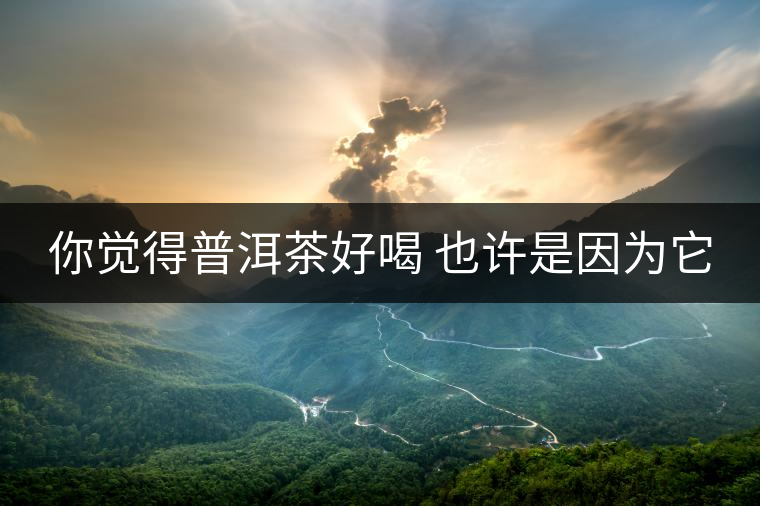 你覺得普洱茶好喝 也許是因為它