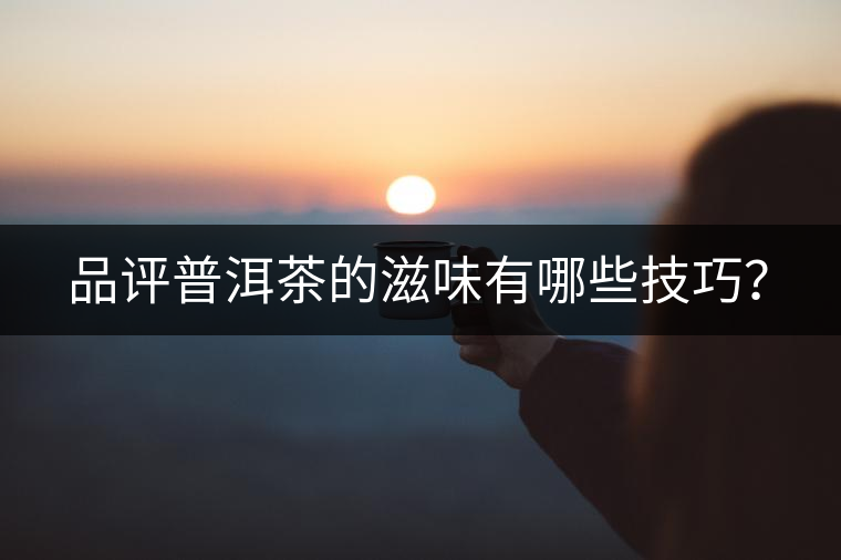 品評普洱茶的滋味有哪些技巧? 品評普洱茶的滋味有哪些技巧?