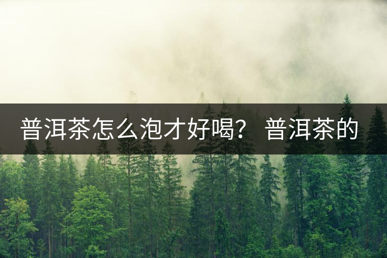普洱茶怎么泡才好喝？ 普洱茶的沖泡技巧！