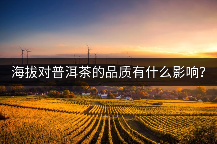 海拔對普洱茶的品質有什么影響？