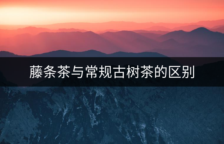 藤條茶與常規(guī)古樹茶的區(qū)別 藤條茶與常規(guī)古樹茶的區(qū)別