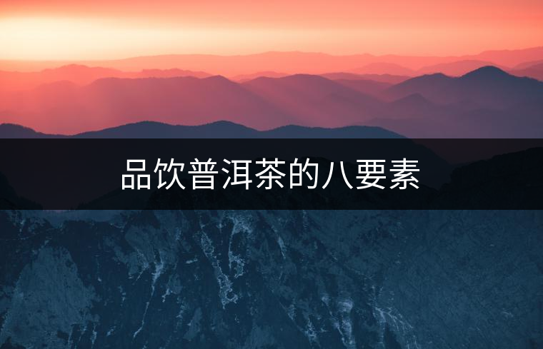 品飲普洱茶的八要素 品飲普洱茶的八要素