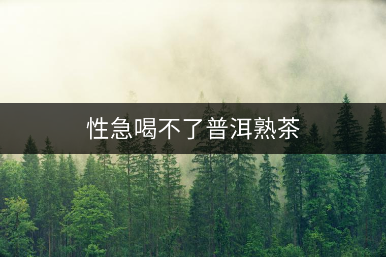性急喝不了普洱熟茶 性急喝不了普洱熟茶