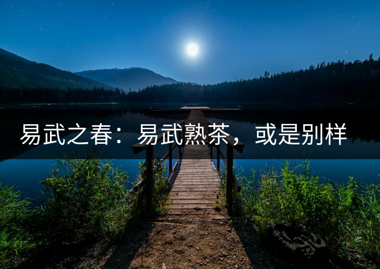 易武之春：易武熟茶，或是別樣風采丨賞鑒