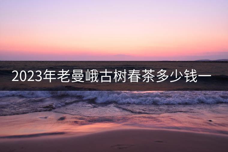 2023年老曼峨古樹春茶多少錢一公斤？