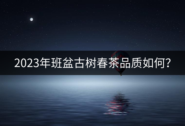 2023年班盆古樹春茶品質(zhì)如何？