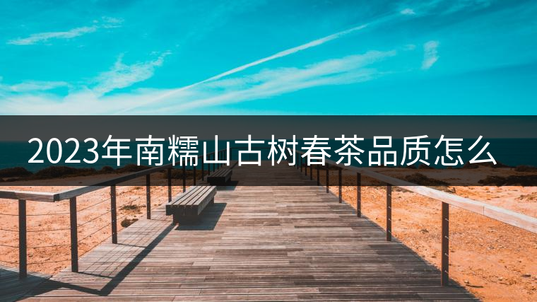 2023年南糯山古樹(shù)春茶品質(zhì)怎么樣？