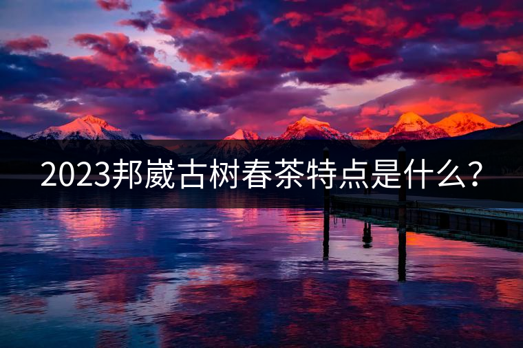 2023邦崴古樹春茶特點是什么？