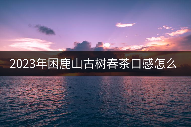 2023年困鹿山古樹春茶口感怎么樣? 2023年困鹿山古樹春茶口感怎么樣?