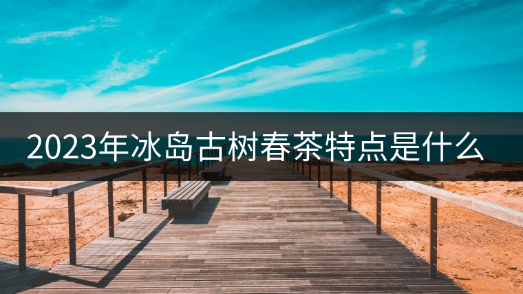 2023年冰島古樹春茶特點是什么？