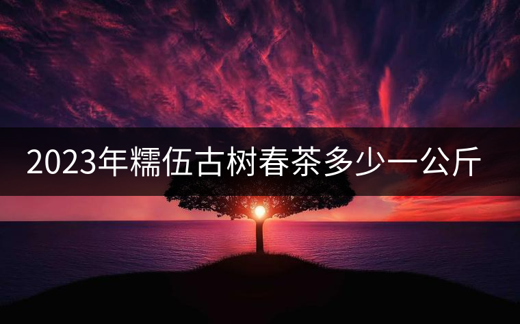 2023年糯伍古樹(shù)春茶多少一公斤？