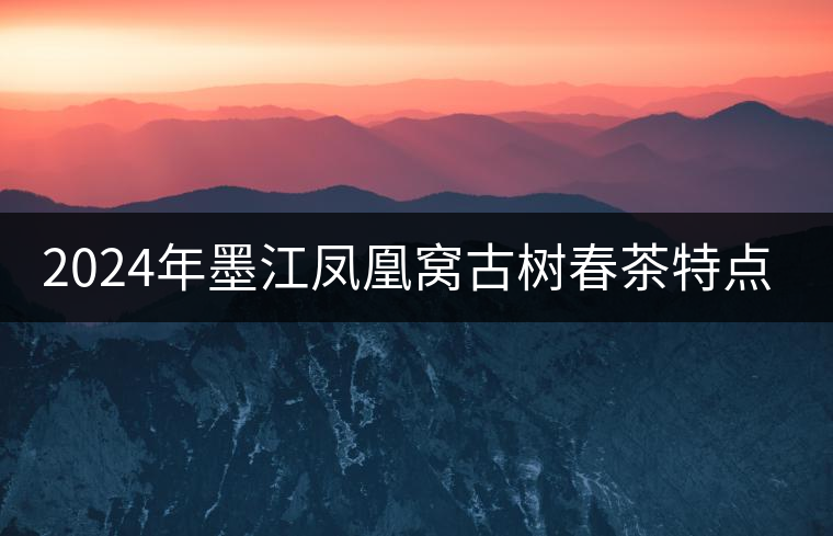 2024年墨江鳳凰窩古樹春茶特點是什么？