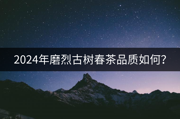2024年磨烈古樹(shù)春茶品質(zhì)如何？