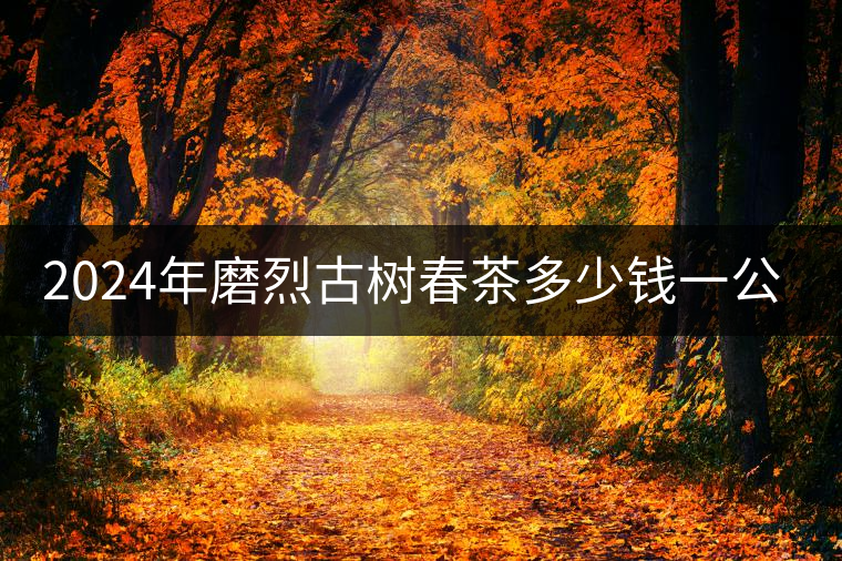 2024年磨烈古樹春茶多少錢一公斤？