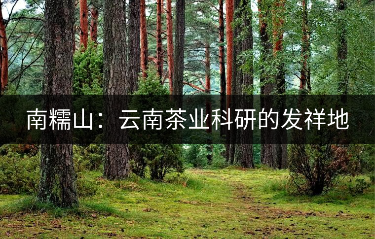 南糯山：云南茶業(yè)科研的發(fā)祥地