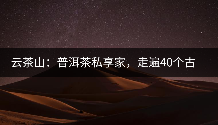 云茶山：普洱茶私享家，走遍40個古寨，24小時提供專家評分與產地茶農一手報價