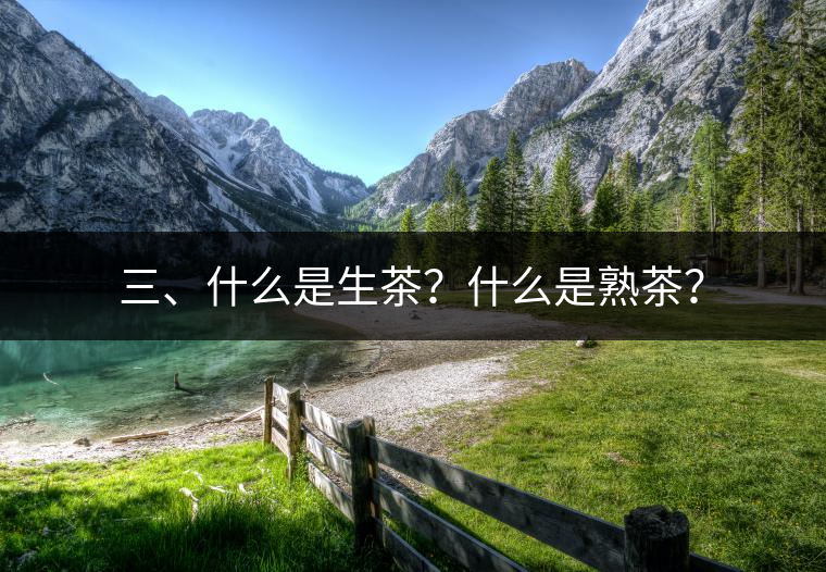 三、什么是生茶？什么是熟茶？