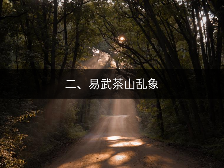 二、易武茶山亂象