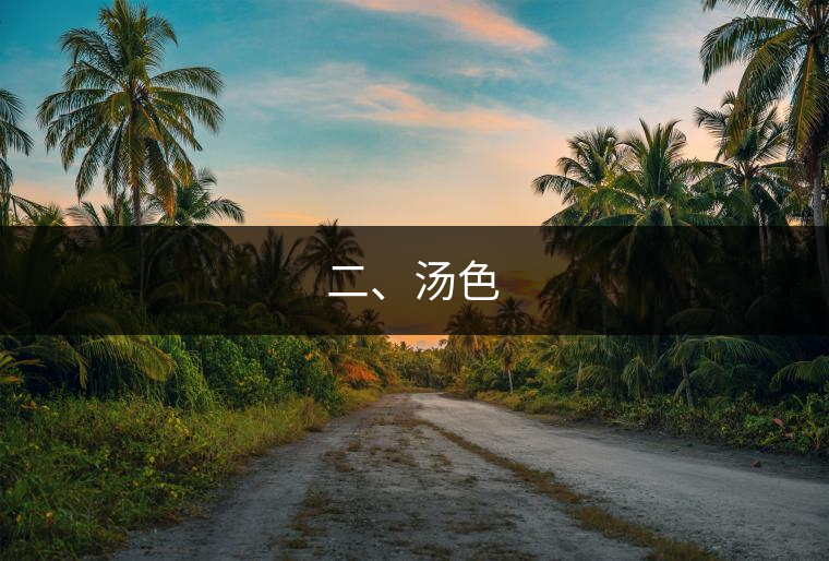 二、湯色
