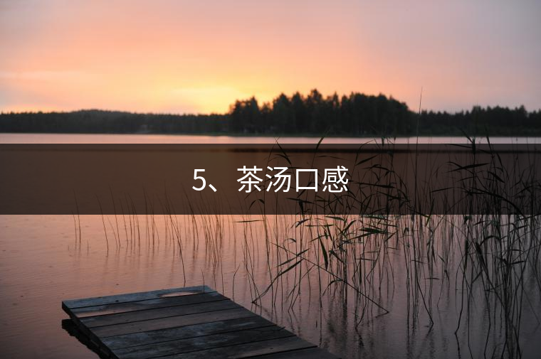 5、茶湯口感