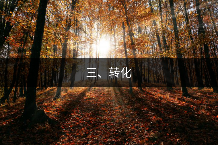 三、轉(zhuǎn)化