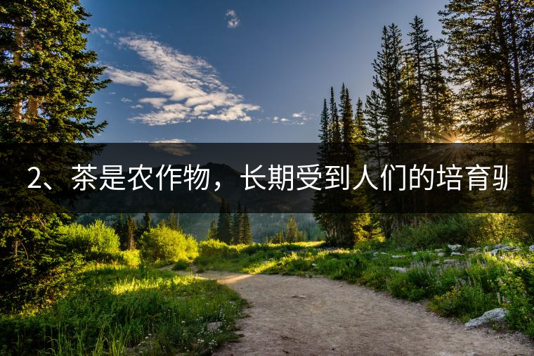 2、茶是農(nóng)作物，長(zhǎng)期受到人們的培育馴化。