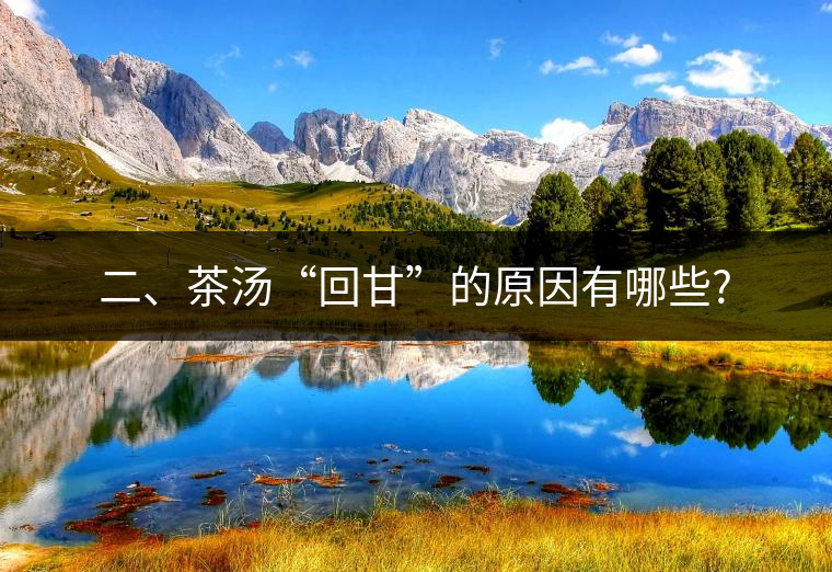 二、茶湯“回甘”的原因有哪些?