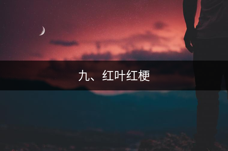 九、紅葉紅梗