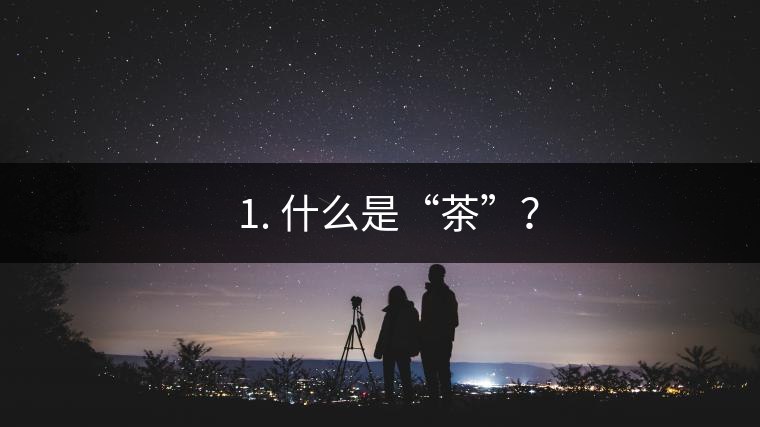? 1. 什么是“茶”？