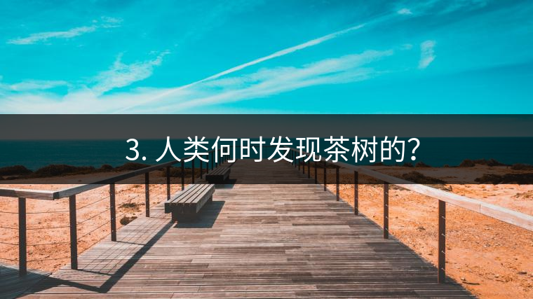 ? 3. 人類何時發(fā)現(xiàn)茶樹的？