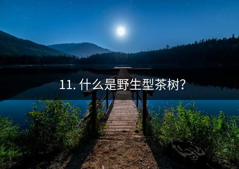 ? 11. 什么是野生型茶樹？
