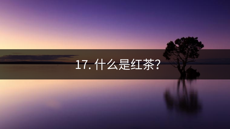 ? 17. 什么是紅茶？