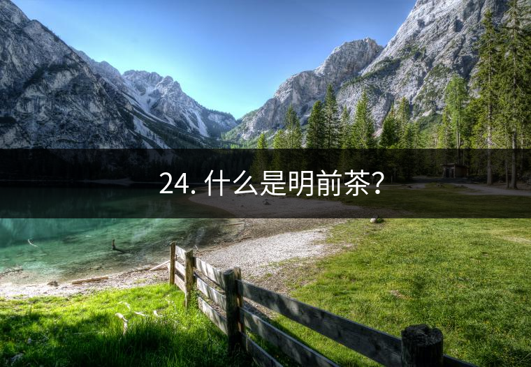 ? 24. 什么是明前茶？