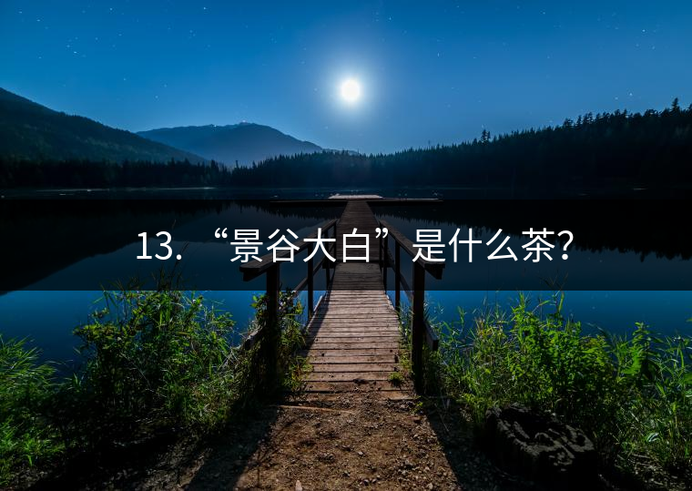? 13. “景谷大白”是什么茶？