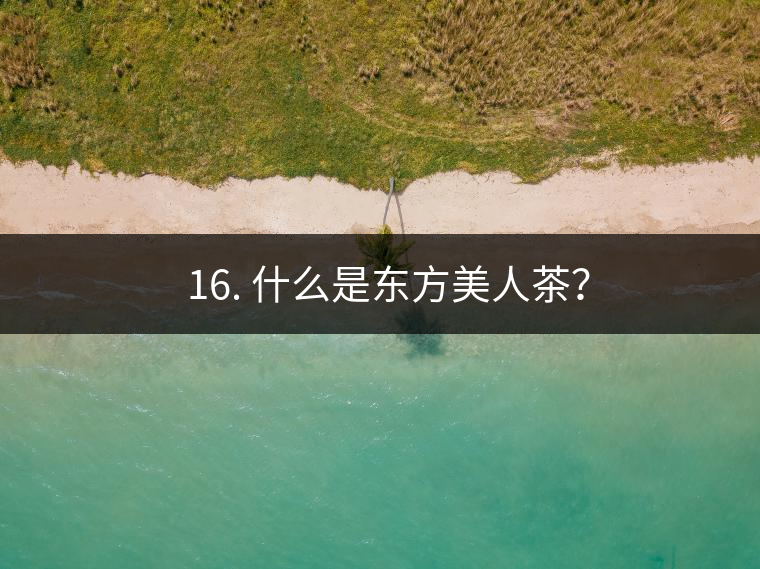 ? 16. 什么是東方美人茶？