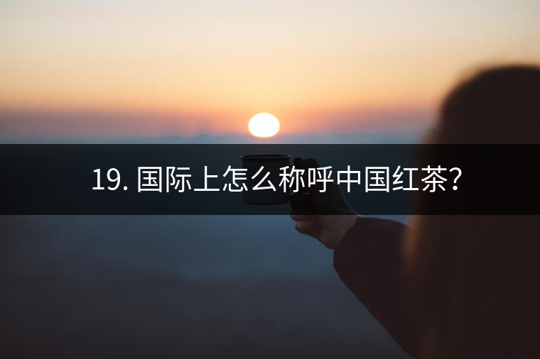 ? 19. 國際上怎么稱呼中國紅茶？