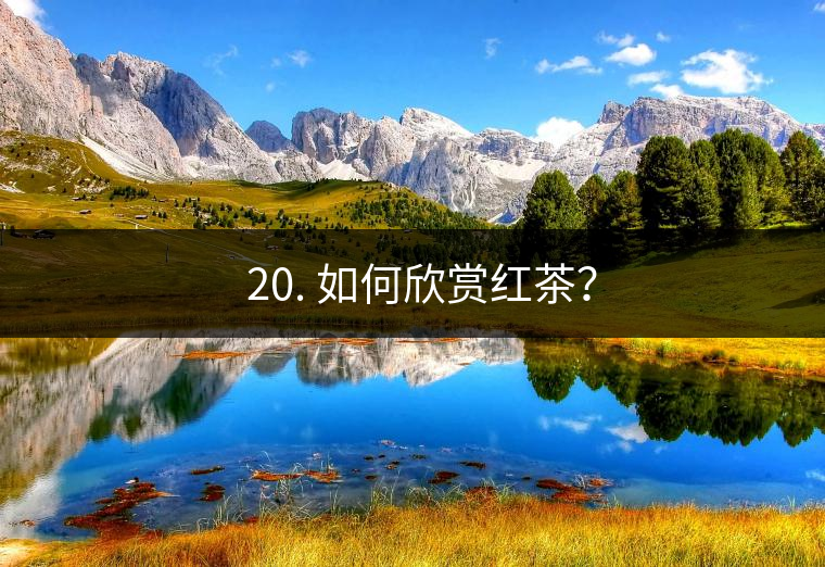 ? 20. 如何欣賞紅茶？