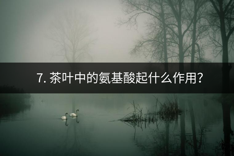 ? 7. 茶葉中的氨基酸起什么作用？