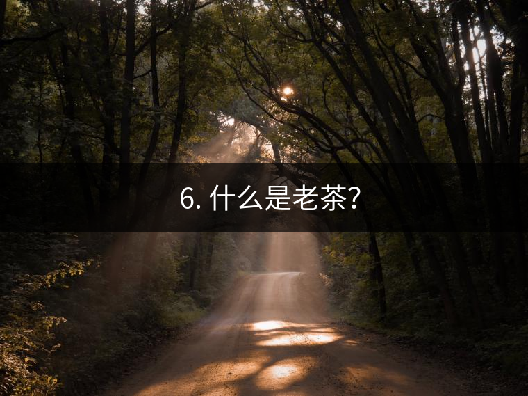 ? 6. 什么是老茶？