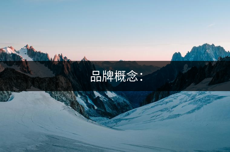 ?品牌概念: ?品牌概念: