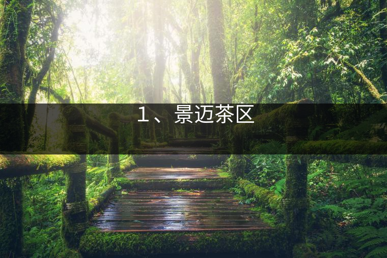 1、景邁茶區(qū)
? 1、景邁茶區(qū)
?