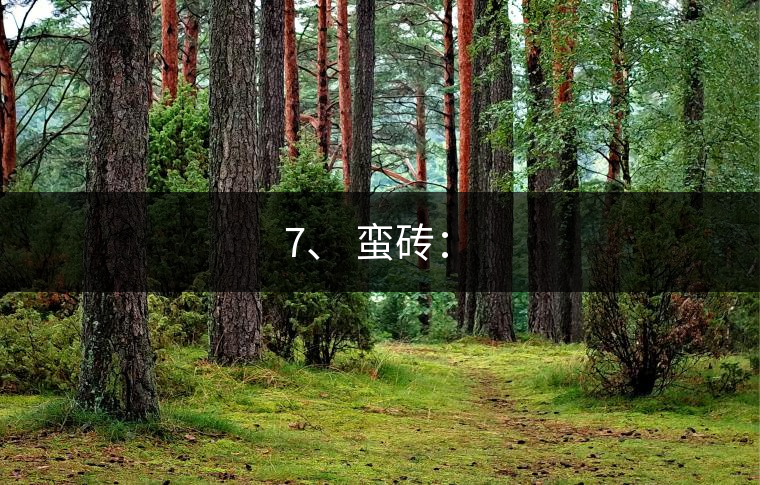 7、 蠻磚：?