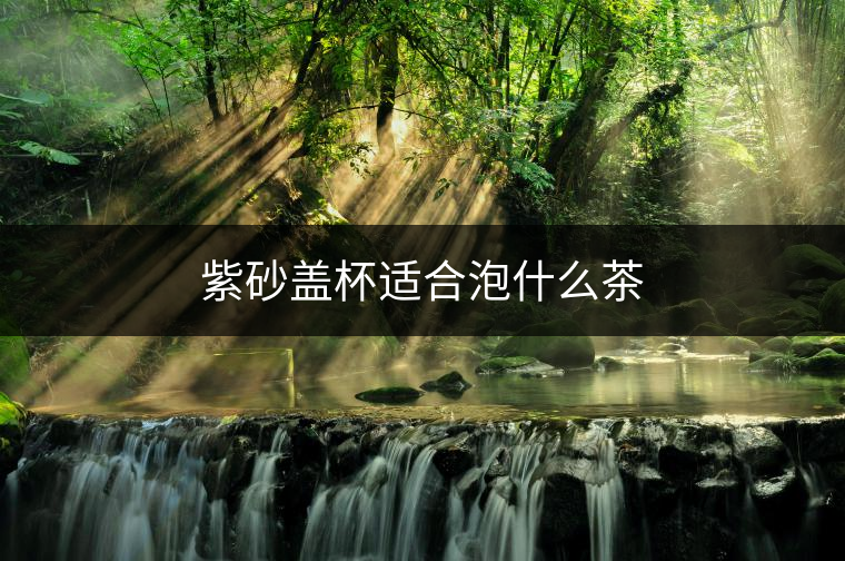 紫砂蓋杯適合泡什么茶 紫砂蓋杯適合泡什么茶