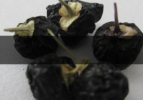 黑枸杞什么時(shí)候成熟-可以天天喝嗎