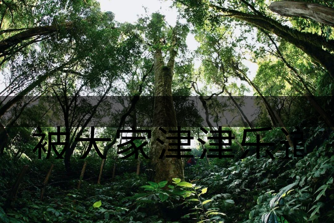 被大家津津樂(lè)道的森林茶，你知道是什么？-6-1