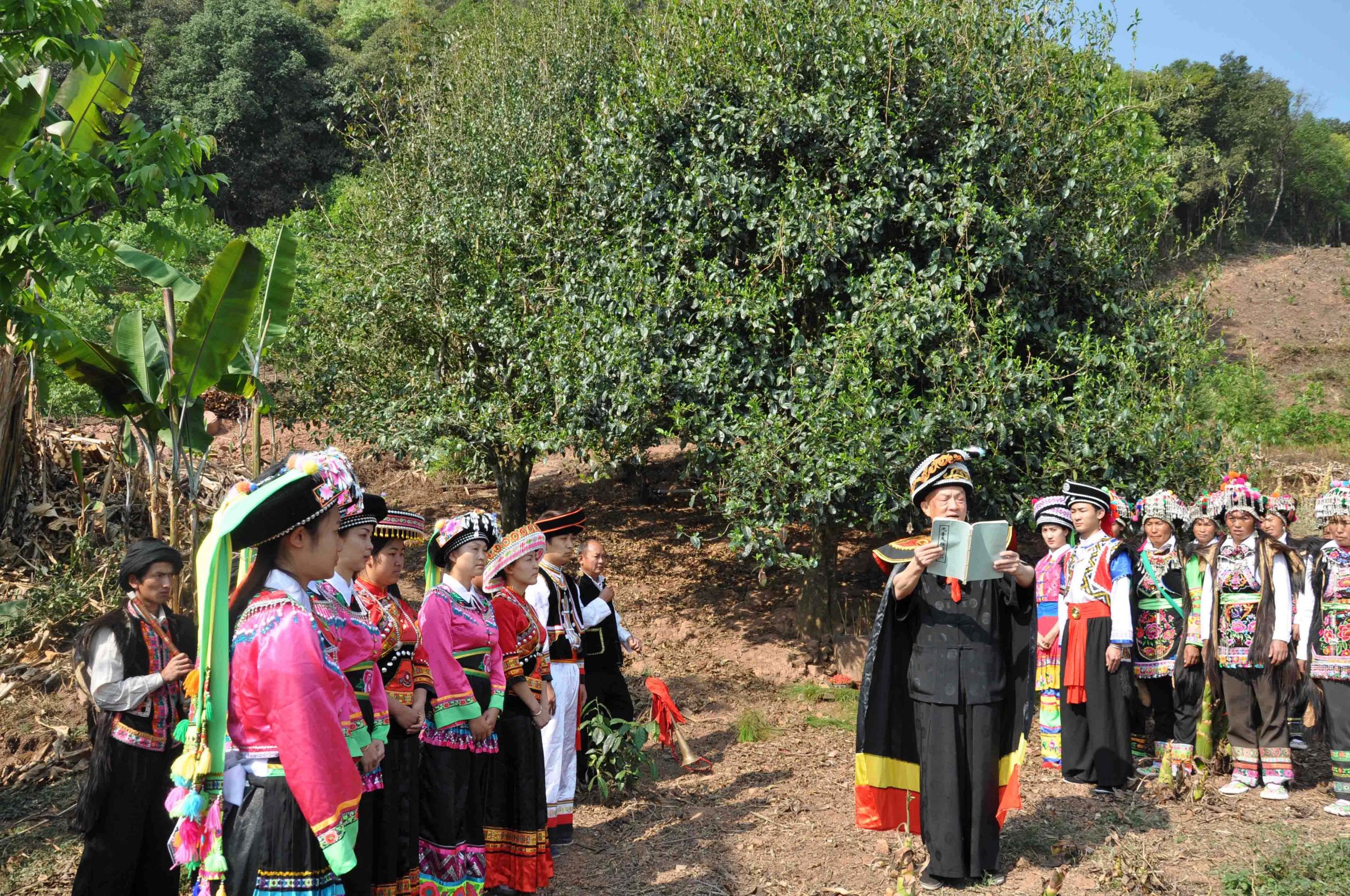 2022年景東御筆古樹春茶多少錢一公斤？