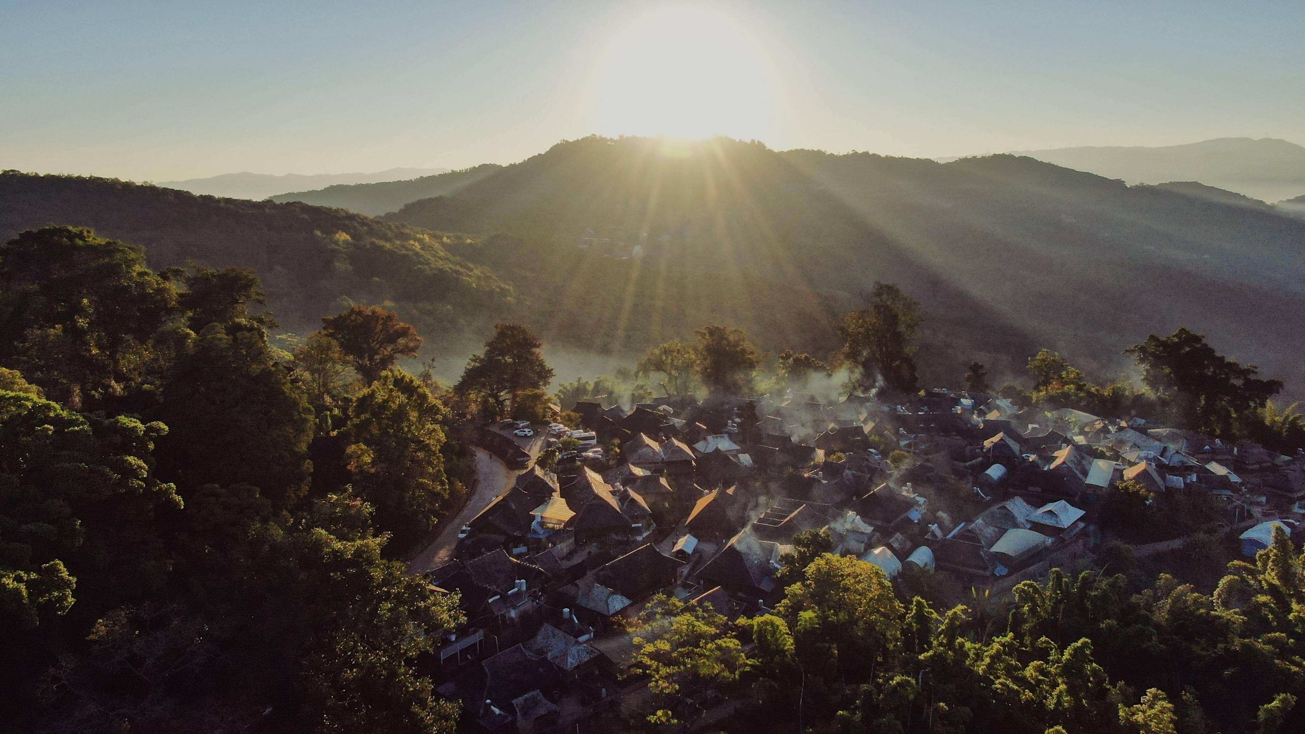 2022年景邁山古樹(shù)春茶特點(diǎn)？