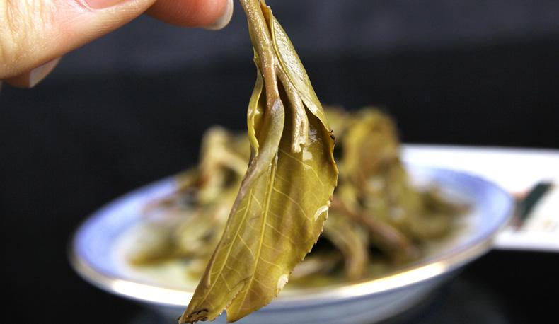 2022年冷水河古樹春茶價(jià)格？