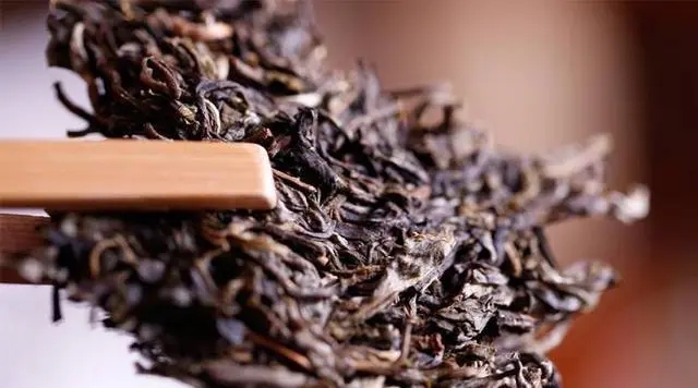 普洱生茶好還是普洱熟茶好喝？如何挑選適合自己的普洱茶？