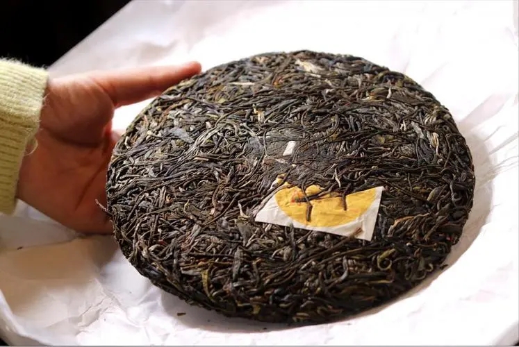 犀牛塘 | 古韻留香，帕沙之王